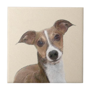 Pintura em Greyhound Italiano - Arte de Cachorro O