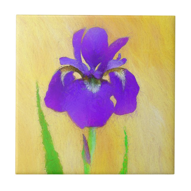 Pintura em Íris com pérola - Cão original branco A (Frente)