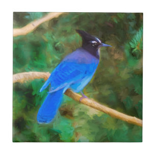 Pintura em Jay de Steller - Arte original sobre p