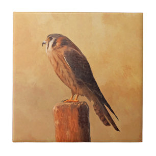Pintura em Kestrel Americano - Arte original sobre