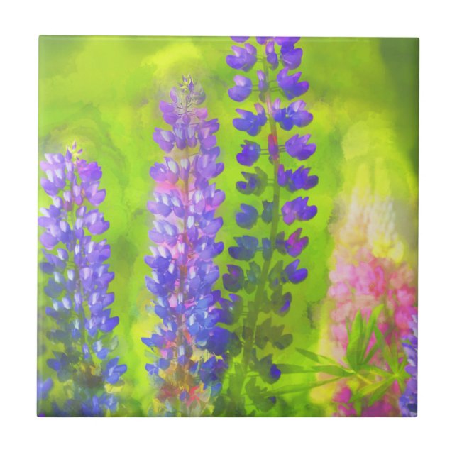 Pintura em Lupine - Arte Flor Original (Frente)