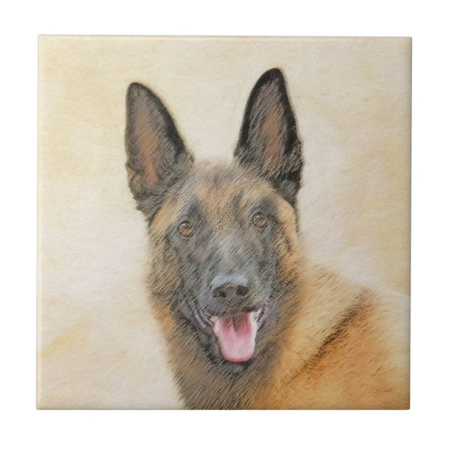 Pintura em Malinois Belga - Arte Cachorra Original (Frente)