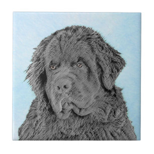 Pintura em Newfoundland - Arte Cão Original Bonit
