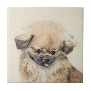 Pintura em Pekingese - Arte Cachorra Original