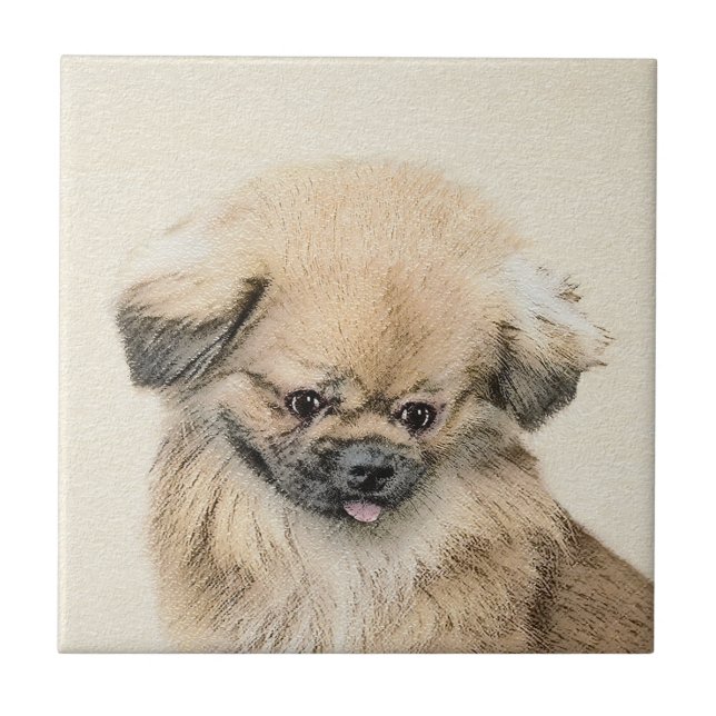 Pintura em Pekingese - Arte Cachorra Original (Frente)