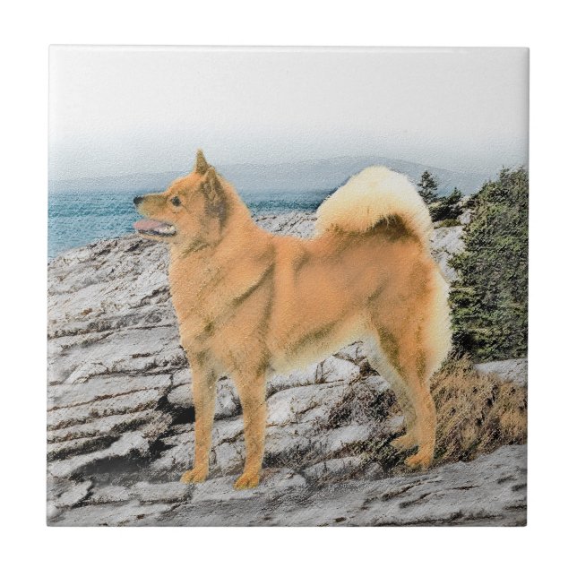 Pintura em Seashore - Arte Canina (Frente)