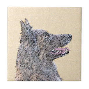 Pintura em Tervuren Belga - Arte Cachorra Original