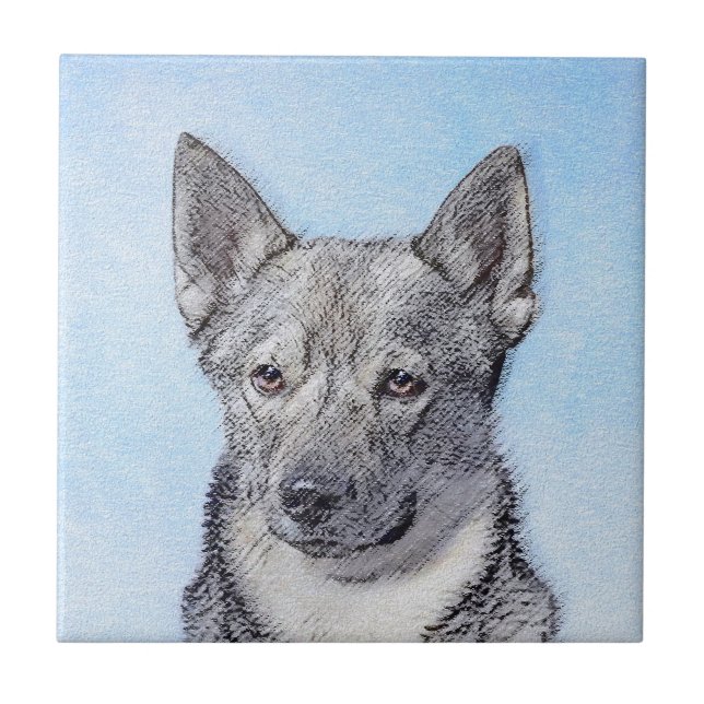 Pintura em Vallhund, na Suécia - Arte Cachorro Ori (Frente)