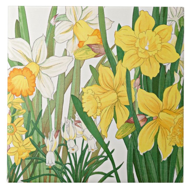 Pintura em Xilogravura de Narciso (Frente)