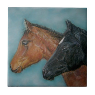 pintura equina de focinho preto castanho-castanho