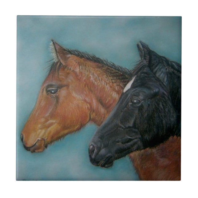 pintura equina de focinho preto castanho-castanho (Frente)