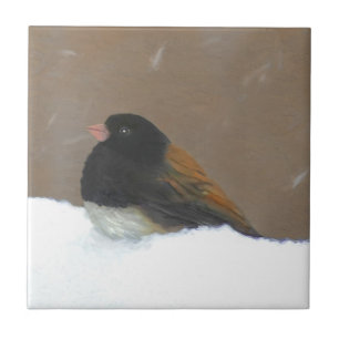 Pintura Junco De Olhos Escuros - Arte De Pássaro