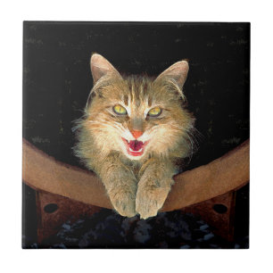 Pintura louca do gato - arte original bonito do