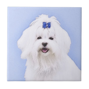 Pintura Maltesa - Arte Cachorra Original