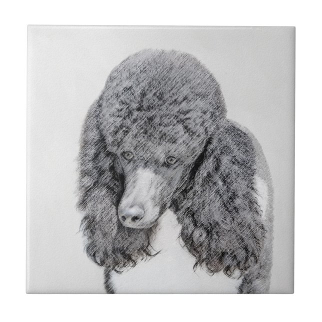 Pintura Negra De Poodle Padrão - Arte Cão (Frente)