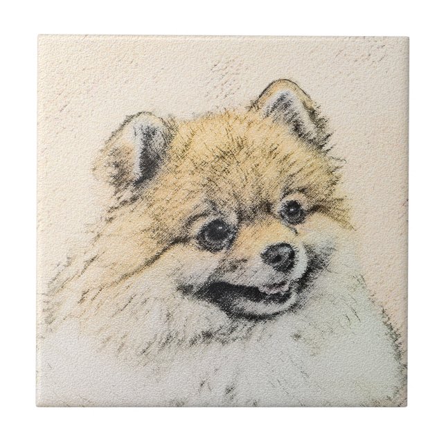 Pintura Pomeraniana (Laranja) - Arte Canina Origin (Frente)