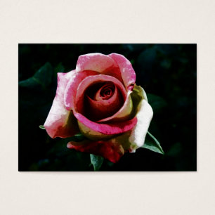 pintura rosa