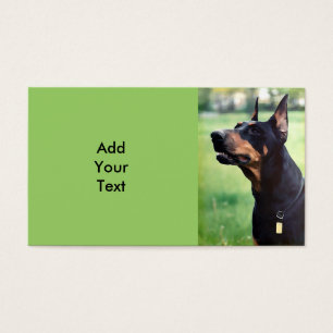 Pintura sonhadora da cara do Pinscher do Doberman