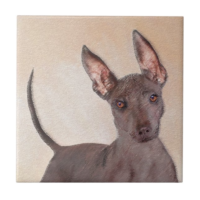 Pintura Xoloitzcuintli - Arte Cachorra Original (Frente)