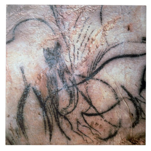 Pinturas que descrevem o mammoth e o gado, do C
