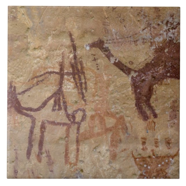 Pinturas rupestres pré-históricas com camelos e (Frente)