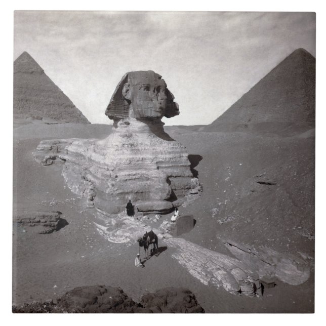Pirâmides de Sphinx e Giza do excelente Necropolis (Frente)