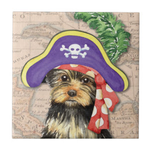 Pirata de Yorkie