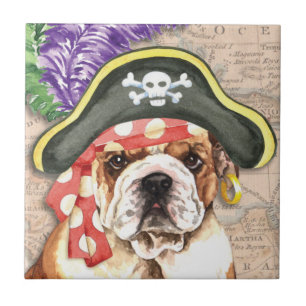 Pirata do buldogue