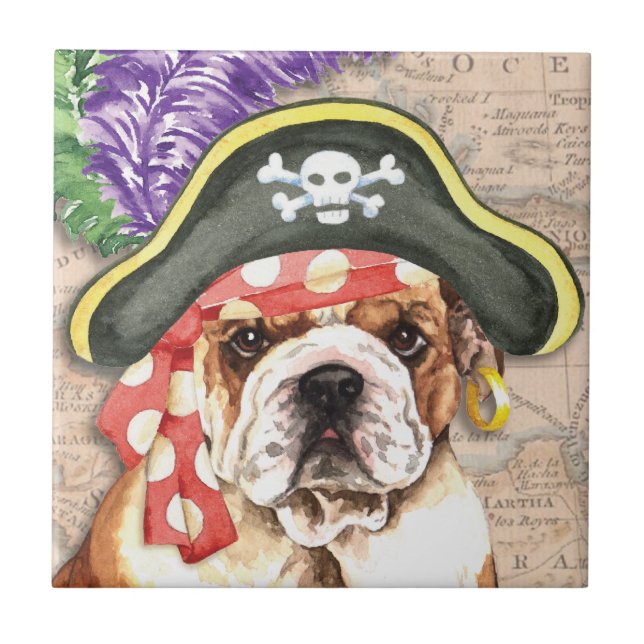 Pirata do buldogue (Frente)