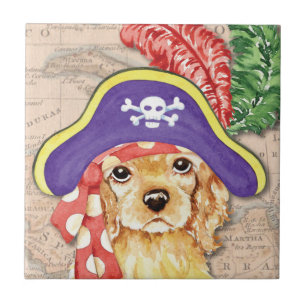 Pirata do Cocker Spaniel