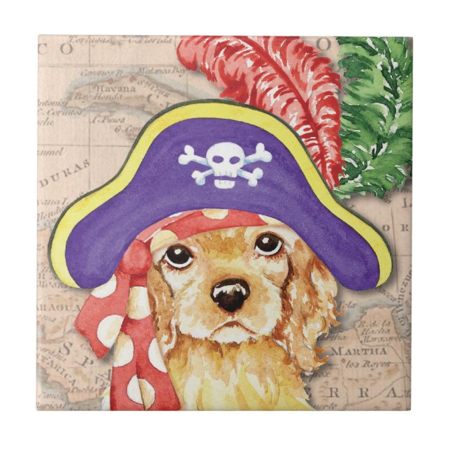 Pirata do Cocker Spaniel (Frente)