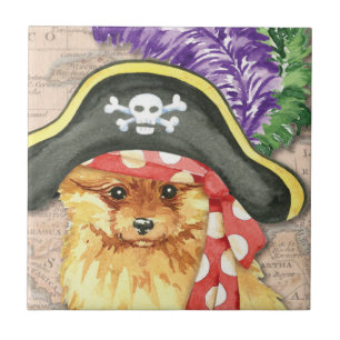 Pirata Pomeraniana