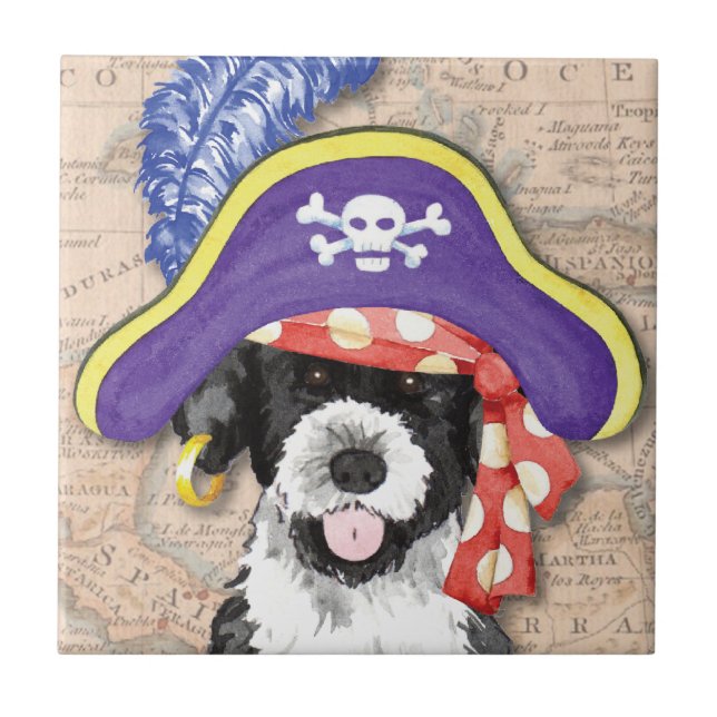 Pirata PWD (Frente)