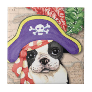 Pirata Terrier de Boston