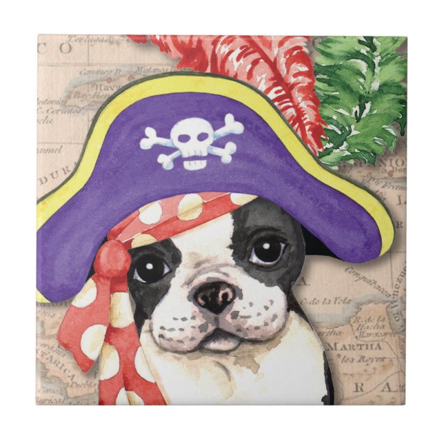 Pirata Terrier de Boston (Frente)