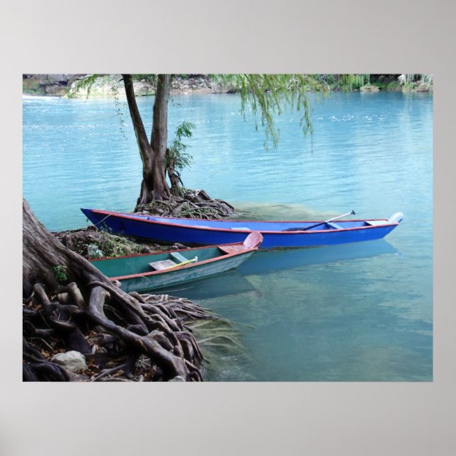 Pirogues poster (Frente)