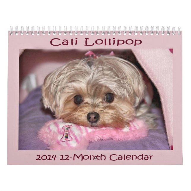 Pirulito de Cali calendário de 2014 12-Meses (Capa)