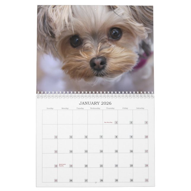 Pirulito de Cali calendário de 2015 12-Meses (Jan 2026)