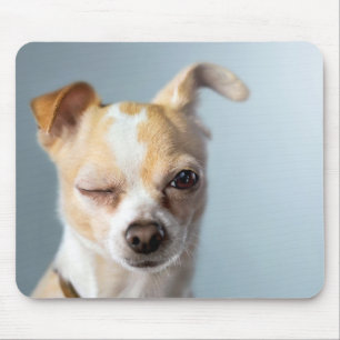 Pisc o cão Mousepad