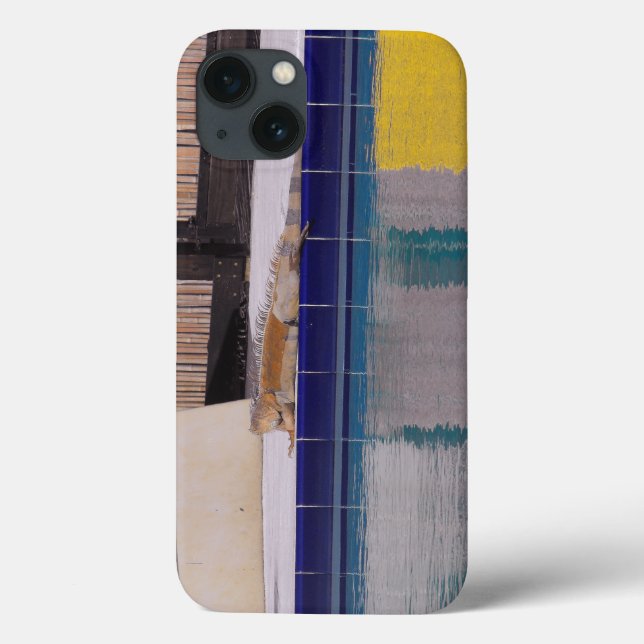 Piscina do Iguana (Verso)