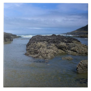 Piscinas laterais em Bob Creek, OU