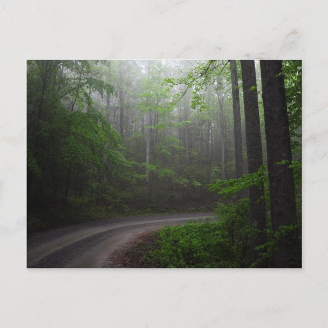 Pisgah National Forest, cartão postal da Carolina  (Frente)