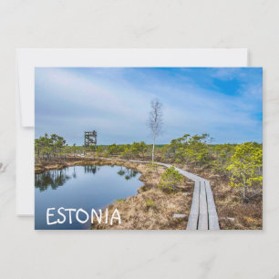 Pista de madeira sobre o pântano na Estônia