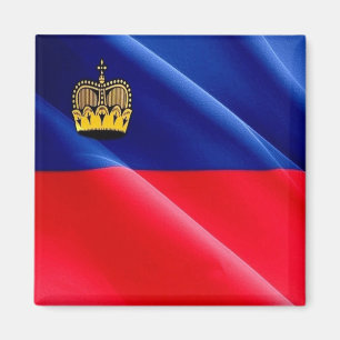 PISTA de ondas zLI002 LIECHTENSTEIN - Imã de gelad
