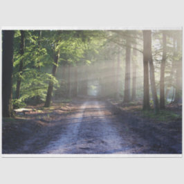 Pista de Paisagem Florestal 24 Papel Tecido de Dec