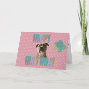 Pit bull Dog Polka Feliz Cartão de Aniversário