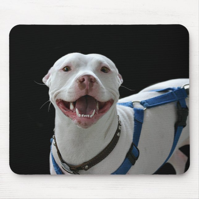 Pit bull mousepad sorridente (Frente)