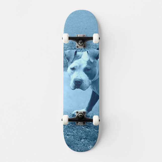 Pit Bull skate (Frente)