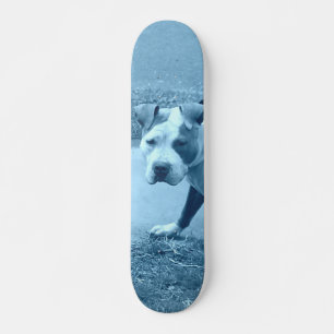 Pit Bull skate