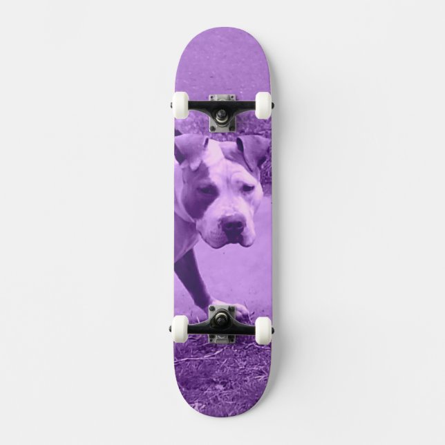 Pit Bull skate (Frente)